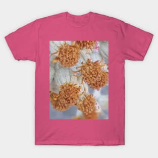 Unique White Bunch Flower Photography My T-Shirt